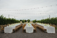240629_MollyMoormeier_SydneyDerek_Wedding_1065