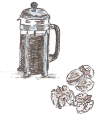 A hand drawn illustration of a coffee pot and walnuts