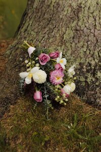 Details during an elopement in Christchurch