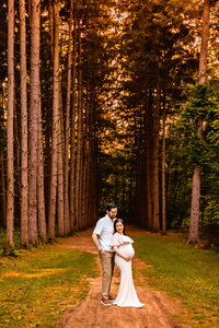 Stony Creek Metro Park Column of Trees Maternity Photos