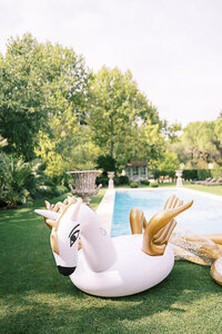 pool-party