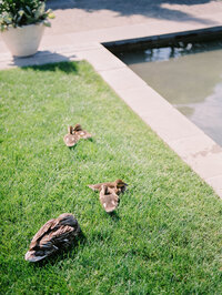 CarleyAnnPhotography_Arboretum+VirginHotelContentDays_0115