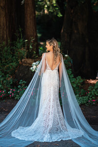 Wedding-Bride-Nestldown-Mountains-Veil