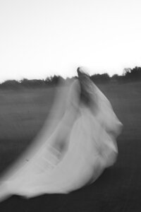 Alyssa-Gayle-Lawrence3-California-Weddings4-Photographer-144_websize