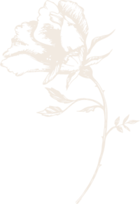 saunter-floral-1