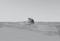 nate-neelson-XurS_LqO1aw-unsplash