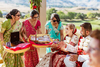 anuj-rose-wedding-colorado-60885