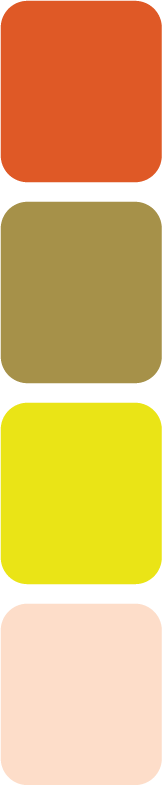 color palette for sample lifestyle brand