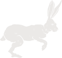 Illustration of white rabbit starting to jump