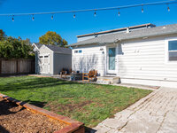 Cypress-0336