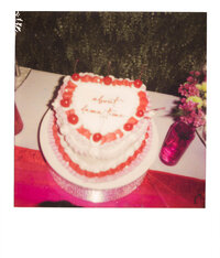 k+s polaroids-8