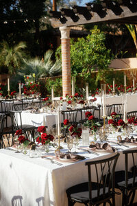 Royal palms 2-81