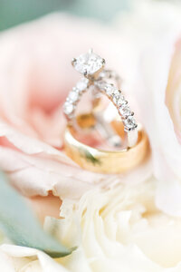 WEBSITE Wed Showcase-0056