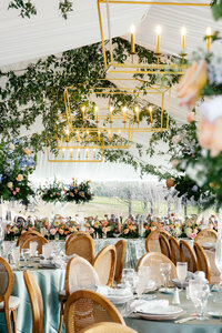 Hailee Rawson Photo_Lindsey Wise Designs_Omni Grove Park Inn Wedding-03567
