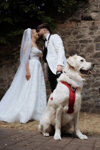 Daven-Casey-Wedding-Photography-Langtons-Hotel-Kilkenny-248