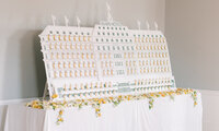 Helliar Wedding124