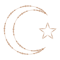 moon-star2