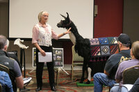 Llama classes