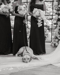 OLDEDWARDSINNWEDDING.SNEAKS-132
