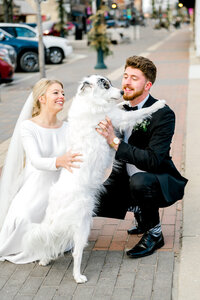 a bride and groomwith teir dog in near downtown Omaha