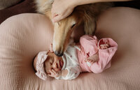 A newborn enjoys a cozy moment with their family and dog in a home spanning Maine, Vermont, and Boston. Fine art lifestyle family photography by Damini Photography capturing playful, tender, and authentic family connections.