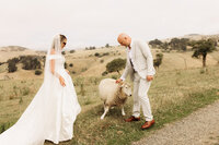 Wedding photographer in Akaroa and Canterbury