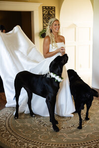 Backyard Disco Wedding.Kansas City Wedding Photographer.CaitlynCloudPhotography7