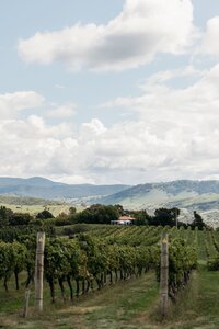 Acacia & Grace Photography - Emma & Edwards Brindabella Hills Winery Wedding-3_websize