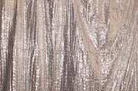 SilverSequinsGIF-Photobooth-KansasCity