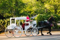 Bride and groom walk up memorial steps at their DC wedding