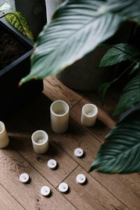pexels-cottonbro-studio-4325455