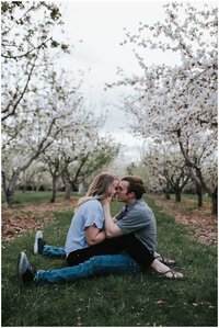 Newly engaged couple sitting together in a orchard of blooming trees kissing in nashville springtime couple session
