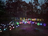 veritas illuminated nov2023 JackLooney-0041