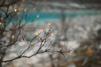 Tromso_Elopement-22