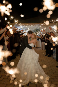 loui_photo_film_birky_house_wedding_leesburg_virgina_wedding_highlights-81