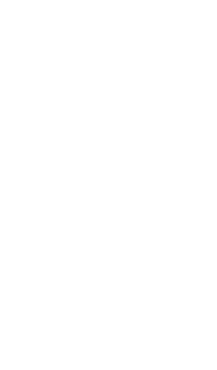 Rachel Syrisko logo