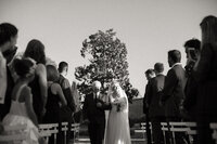 bride-entrance-10