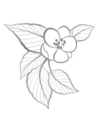 15-03 copy