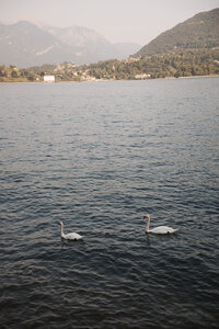 Taylor & Jonathan Elopement _ cait swithers photo + films-1