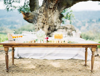sallypinera_vineyard-table
