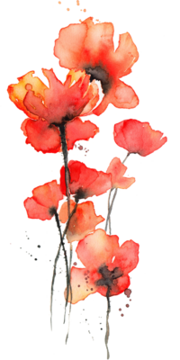 poppies-watercolor