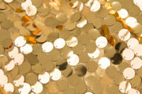 Gold-Payette-Backdrop-02