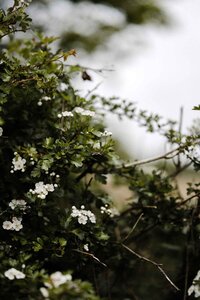 annie-spratt-8QVoTqa_myE-unsplash (2)