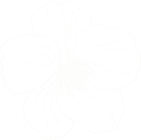 adventure photographer