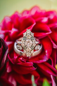 Sophia & Ryan - Detailed Preview - Amative Creative-3