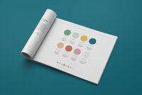 Albany Park brand guide open to packaging and visual identity spreads
