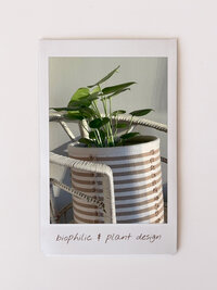plant designs