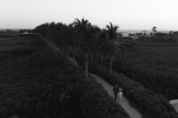 bj_wp-adv0055