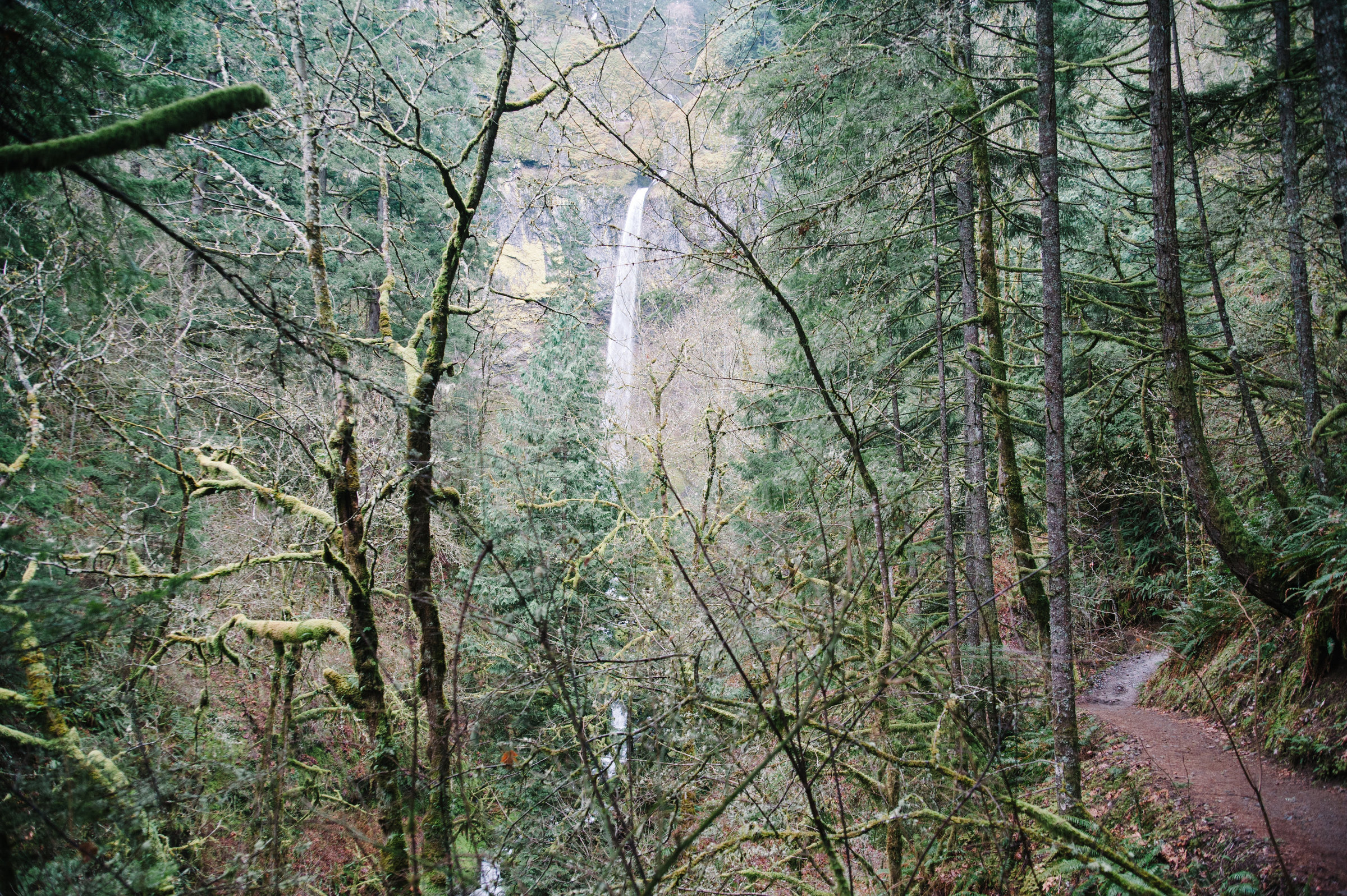 The Oregon Tale Elowah Falls-76