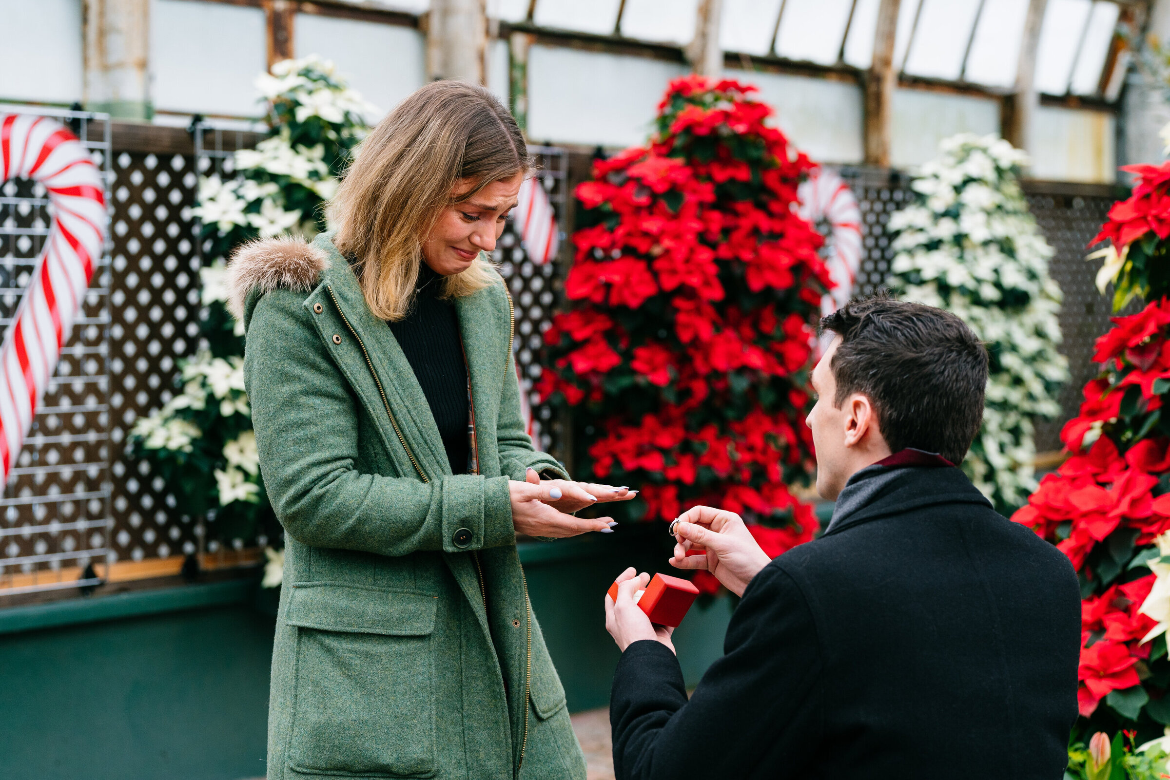Emotional winter proposal at Chicago's Lincoln Park Conservatory